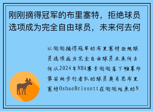 刚刚摘得冠军的布里塞特，拒绝球员选项成为完全自由球员，未来何去何从？