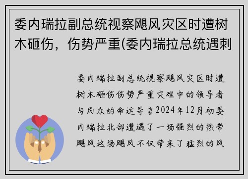 委内瑞拉副总统视察飓风灾区时遭树木砸伤，伤势严重(委内瑞拉总统遇刺)
